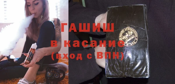 индика Лабытнанги