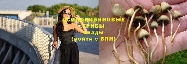 индика Лабытнанги