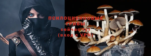 индика Лабытнанги