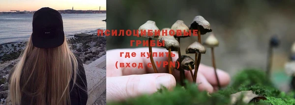 мет Лагань