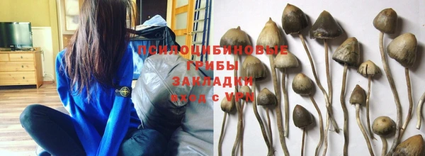 мет Лагань